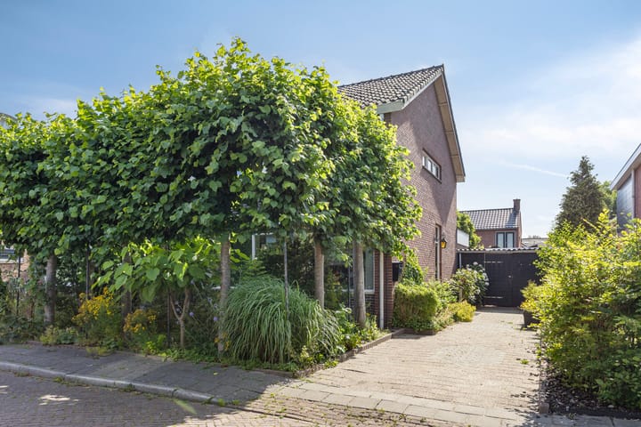 Foto 5 van Zwanebloemstraat 17