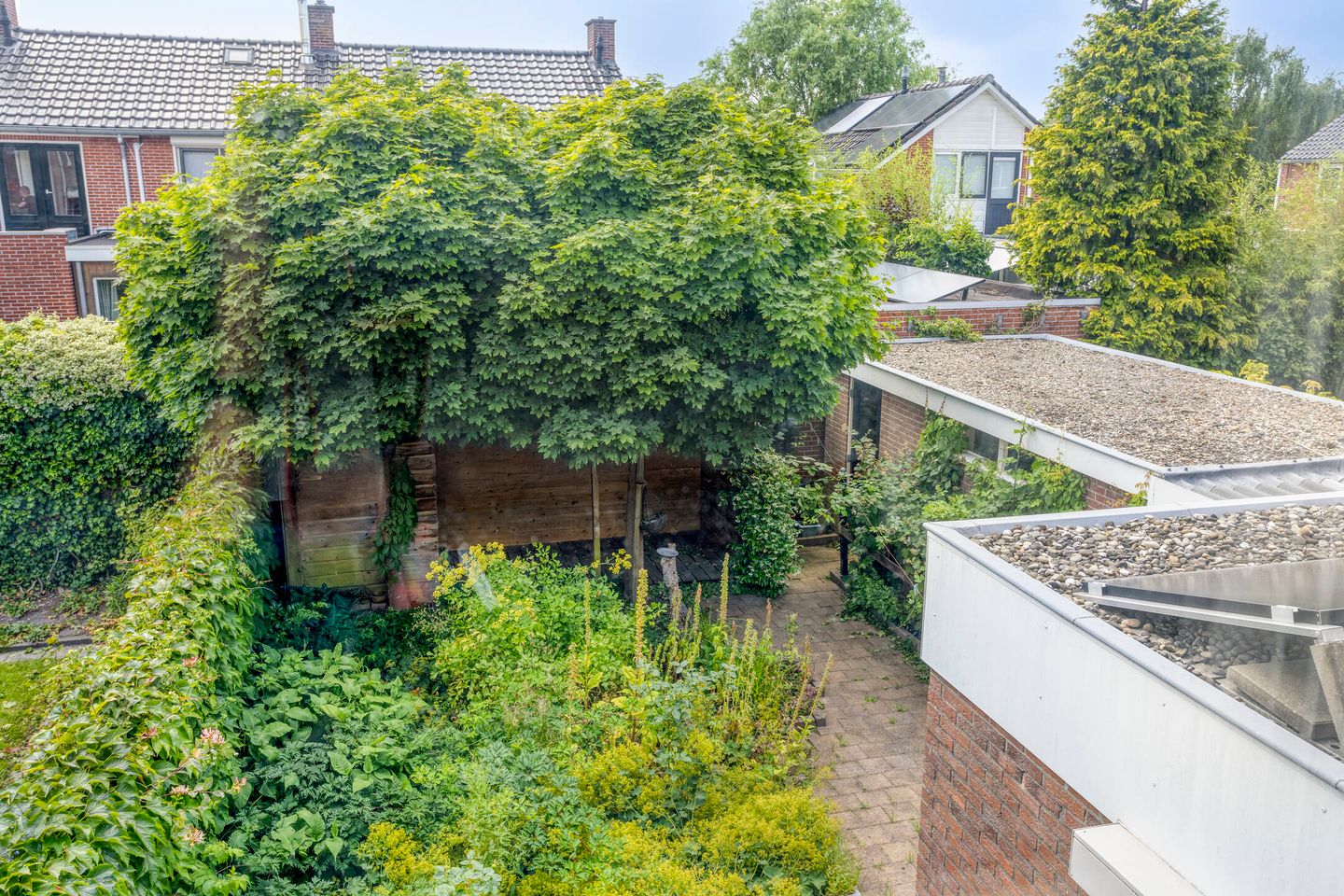 Foto 4 van Zwanebloemstraat 17