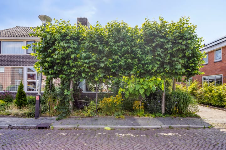 Foto 42 van Zwanebloemstraat 17