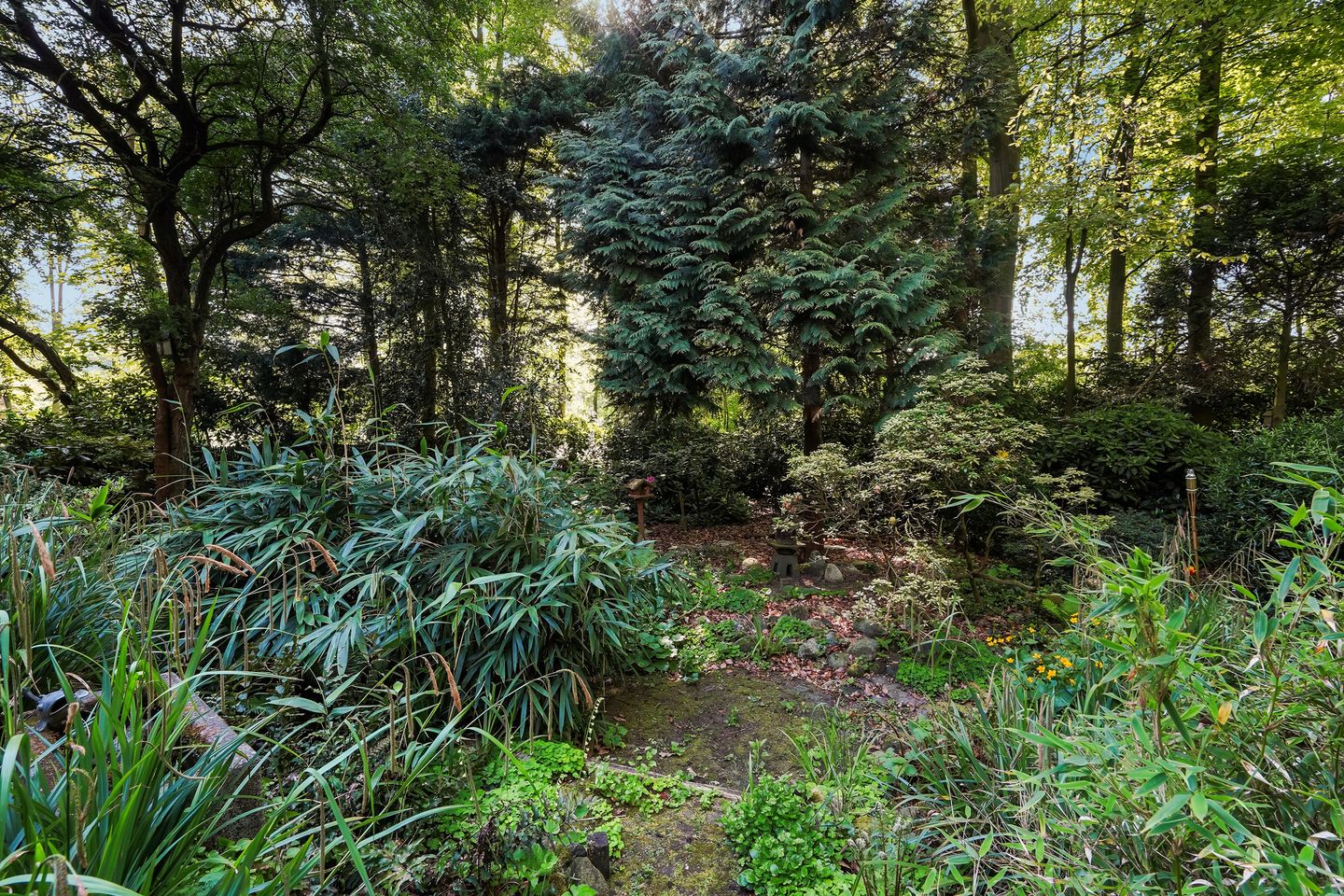 Foto 35 van Monsterseweg 15-A