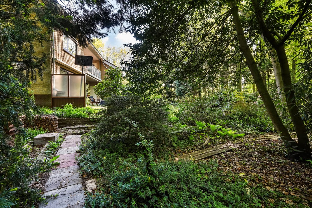 Foto 37 van Monsterseweg 15-A