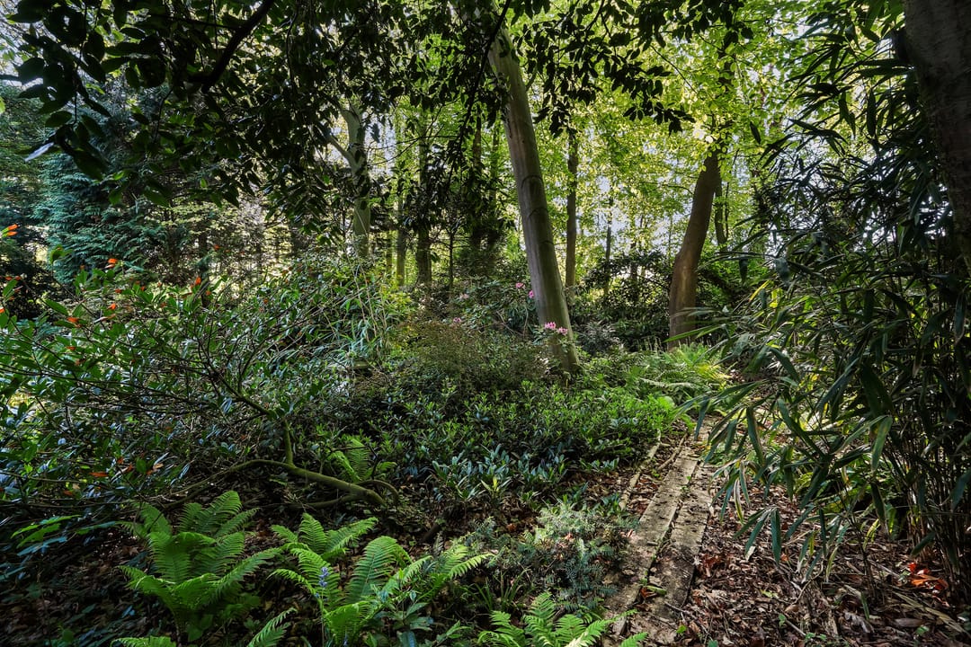 Foto 38 van Monsterseweg 15-A