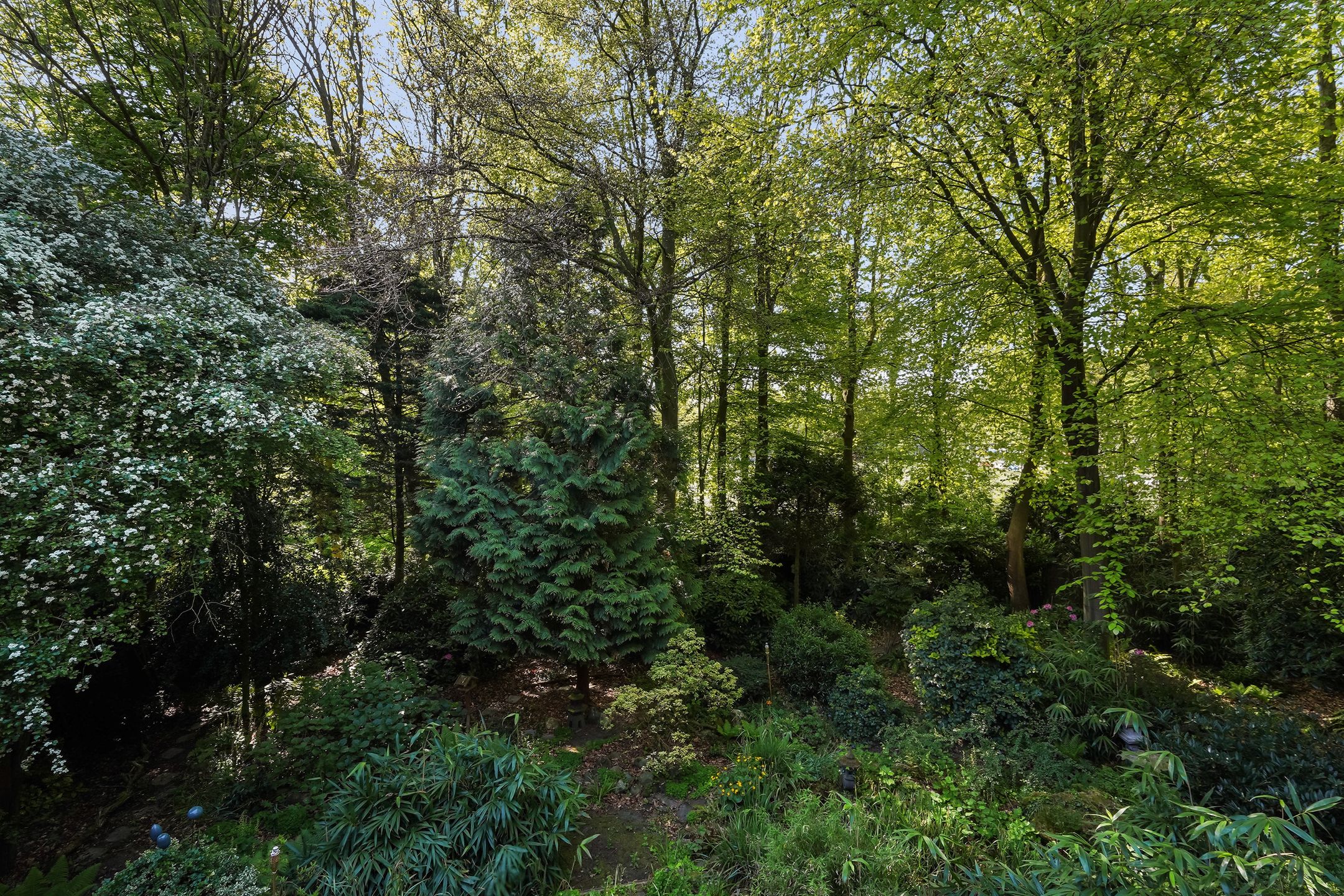 Foto 48 van Monsterseweg 15-A