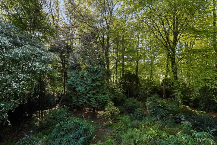 Foto 48 van Monsterseweg 15-A