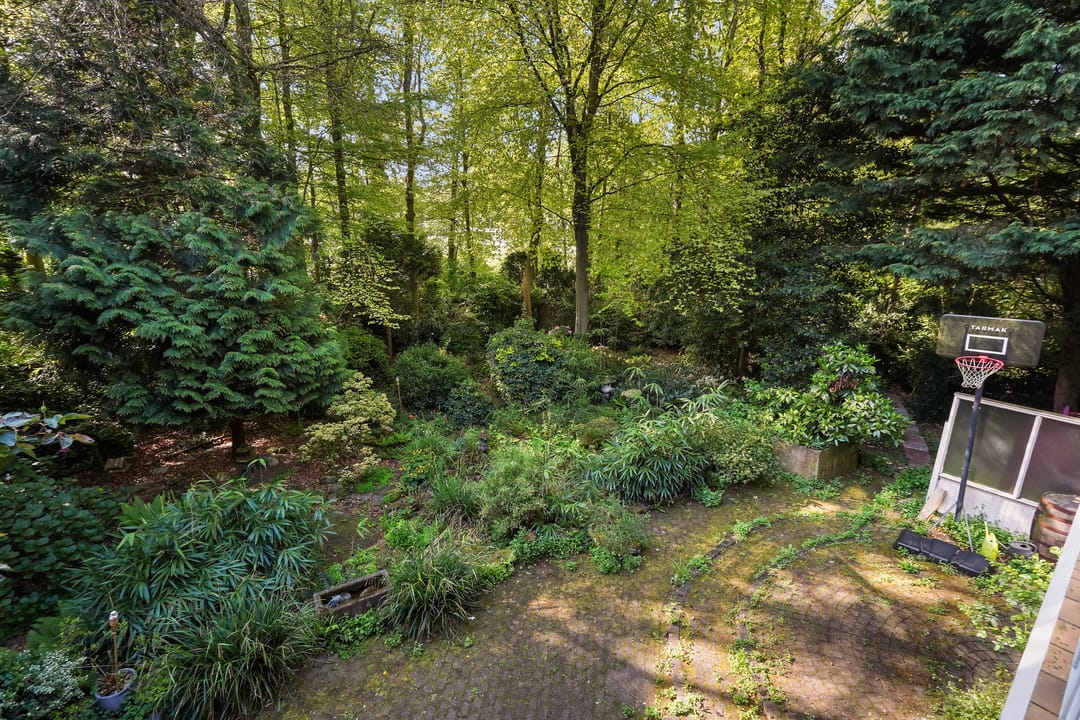 Foto 52 van Monsterseweg 15-A