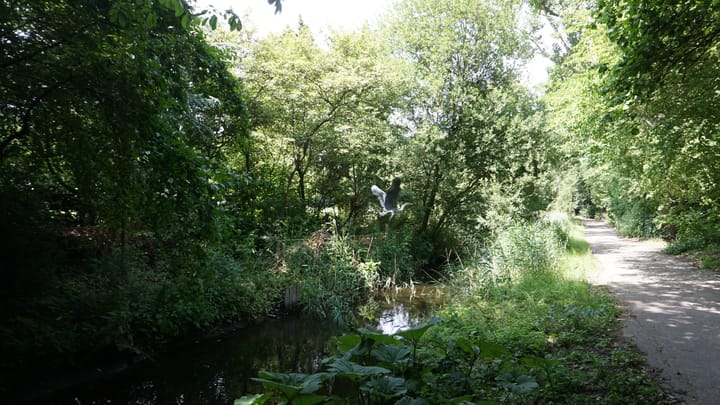 Foto 28 van Jisperveldstraat 573