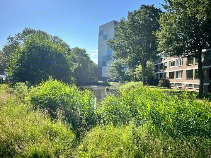 Foto 2 van President J.V. Wierdsmastraat 12