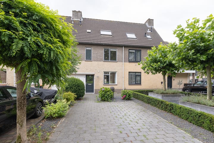 undefined main image