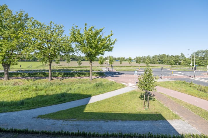 Foto 15 van C. Lofstraat 47