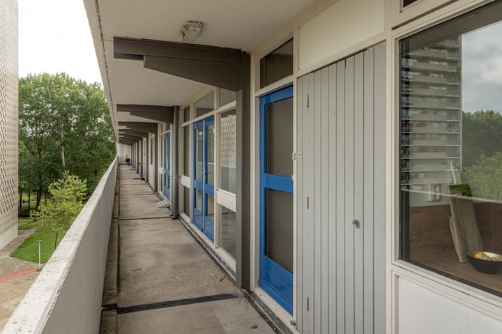 Foto 4 van Tjaarda 188