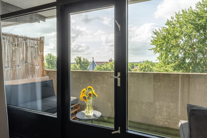 Foto 21 van Tjaarda 188