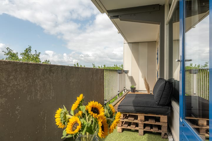 Foto 25 van Tjaarda 188