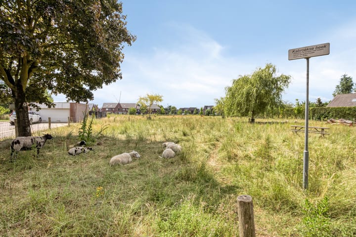 Foto 42 van Meterikseweg 104