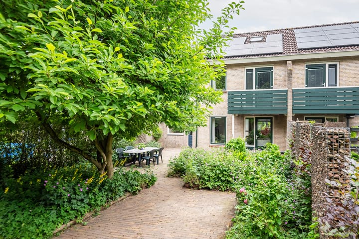 Foto 4 van Valeriaan 80