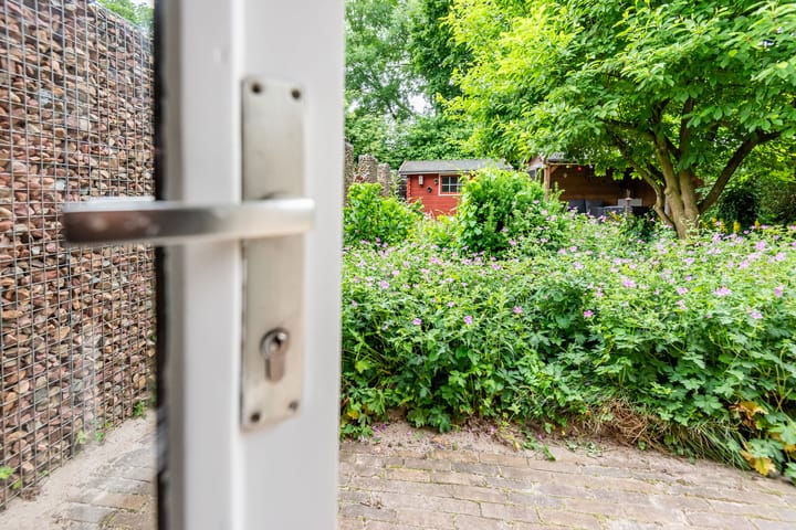 Foto 11 van Valeriaan 80