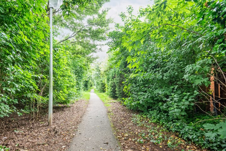 Foto 43 van Valeriaan 80