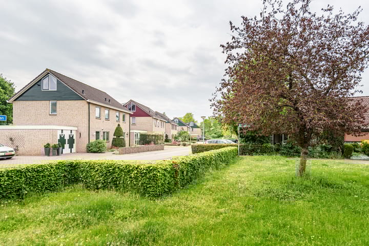 Foto 44 van Valeriaan 80