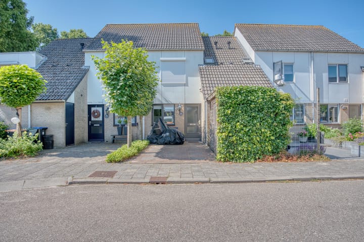 undefined main image