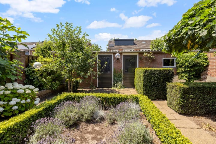 Foto 43 van Steurstraat 13