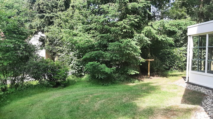 Foto 6 van Korhoen 37