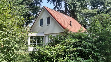 undefined main image