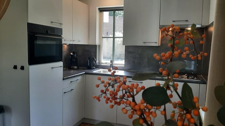 Foto 12 van Korhoen 37