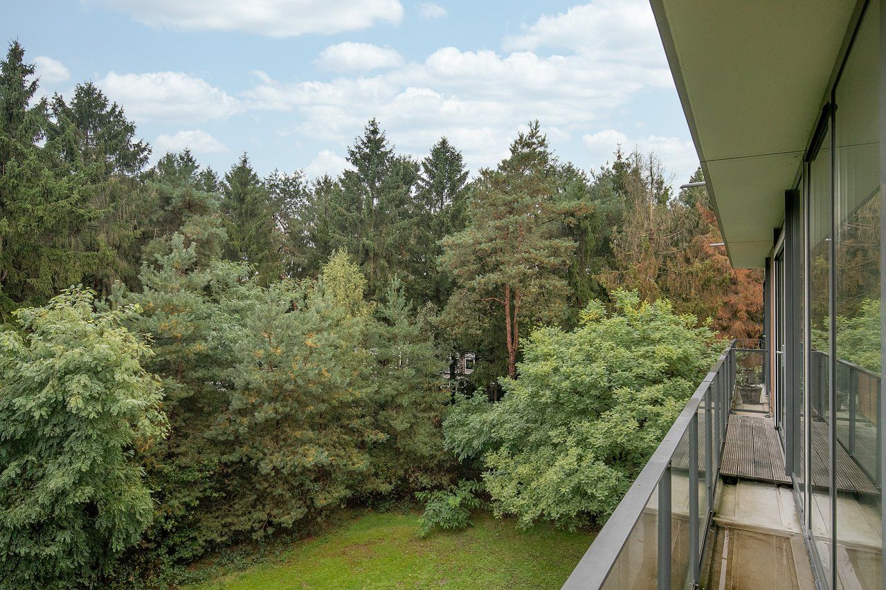 Photo 9 of Loosdrechtse Bos 44