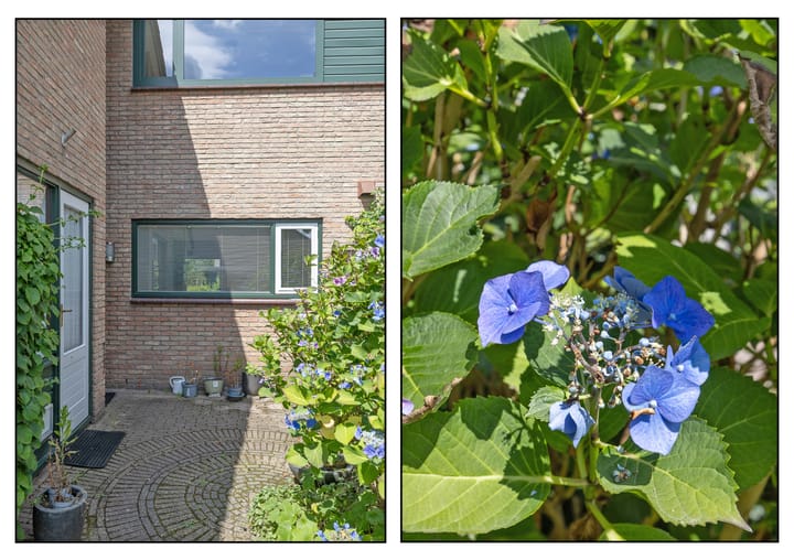 Foto 4 van Bernard van Beeklaan 6