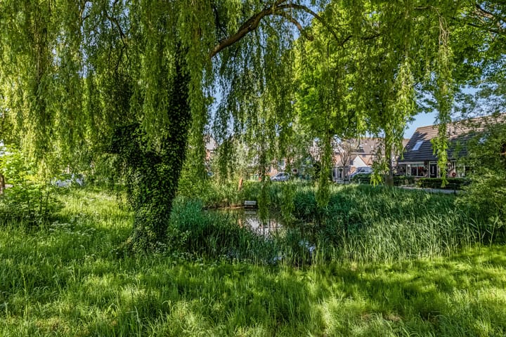 Foto 34 van Moeflonlaan 10