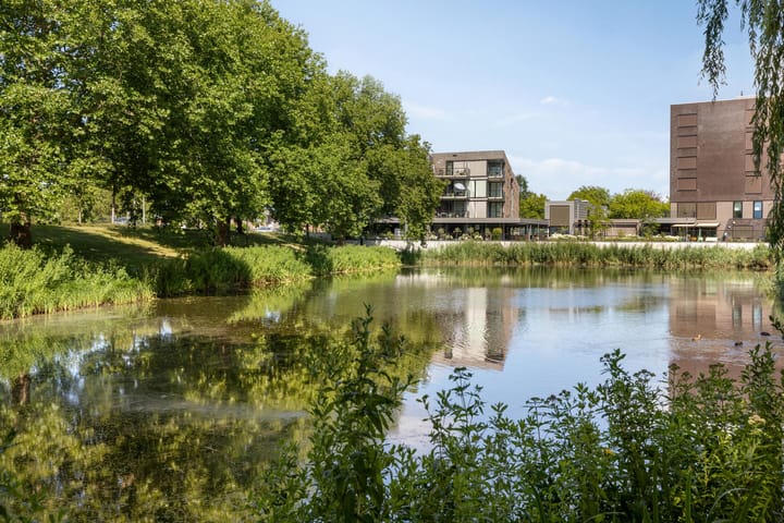 Foto 36 van Alberdingk Thijmstraat 115