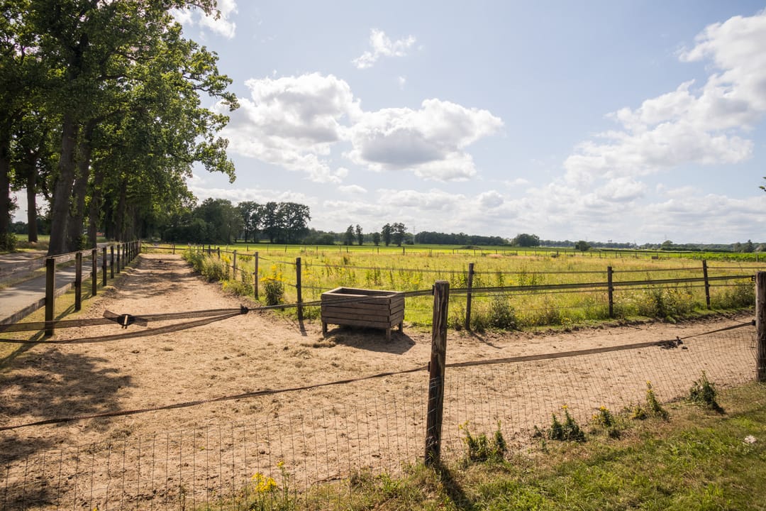 Foto 73 van Broekstraat 3