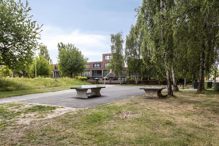 Foto 44 van Luttenberg 1