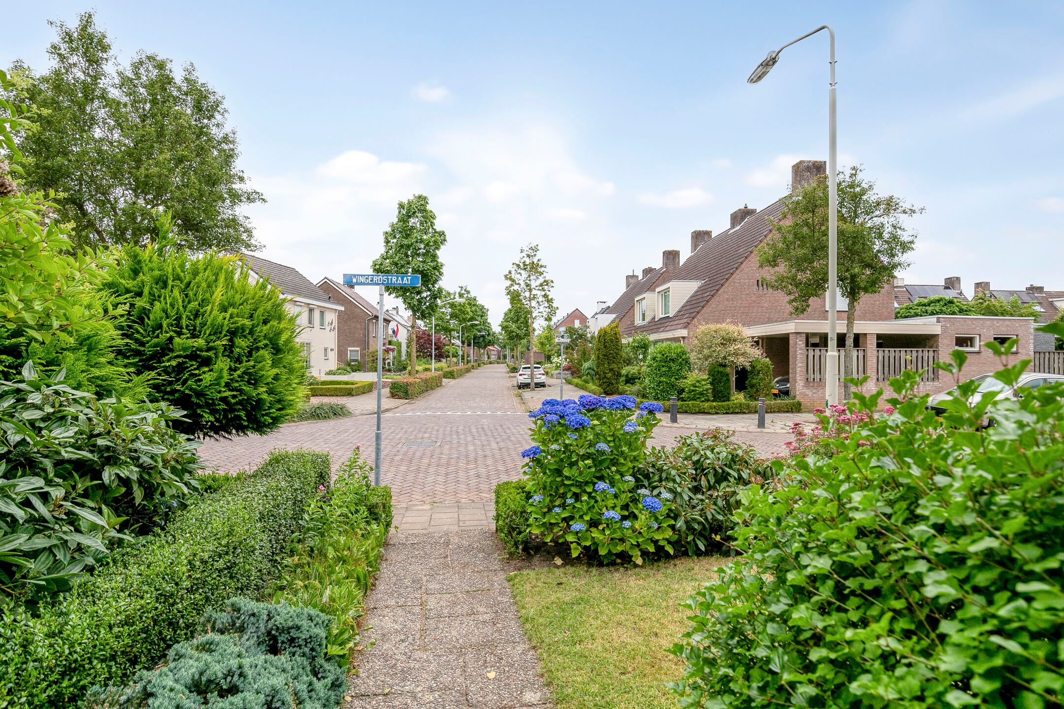 Foto 3 van Wingerdstraat 35
