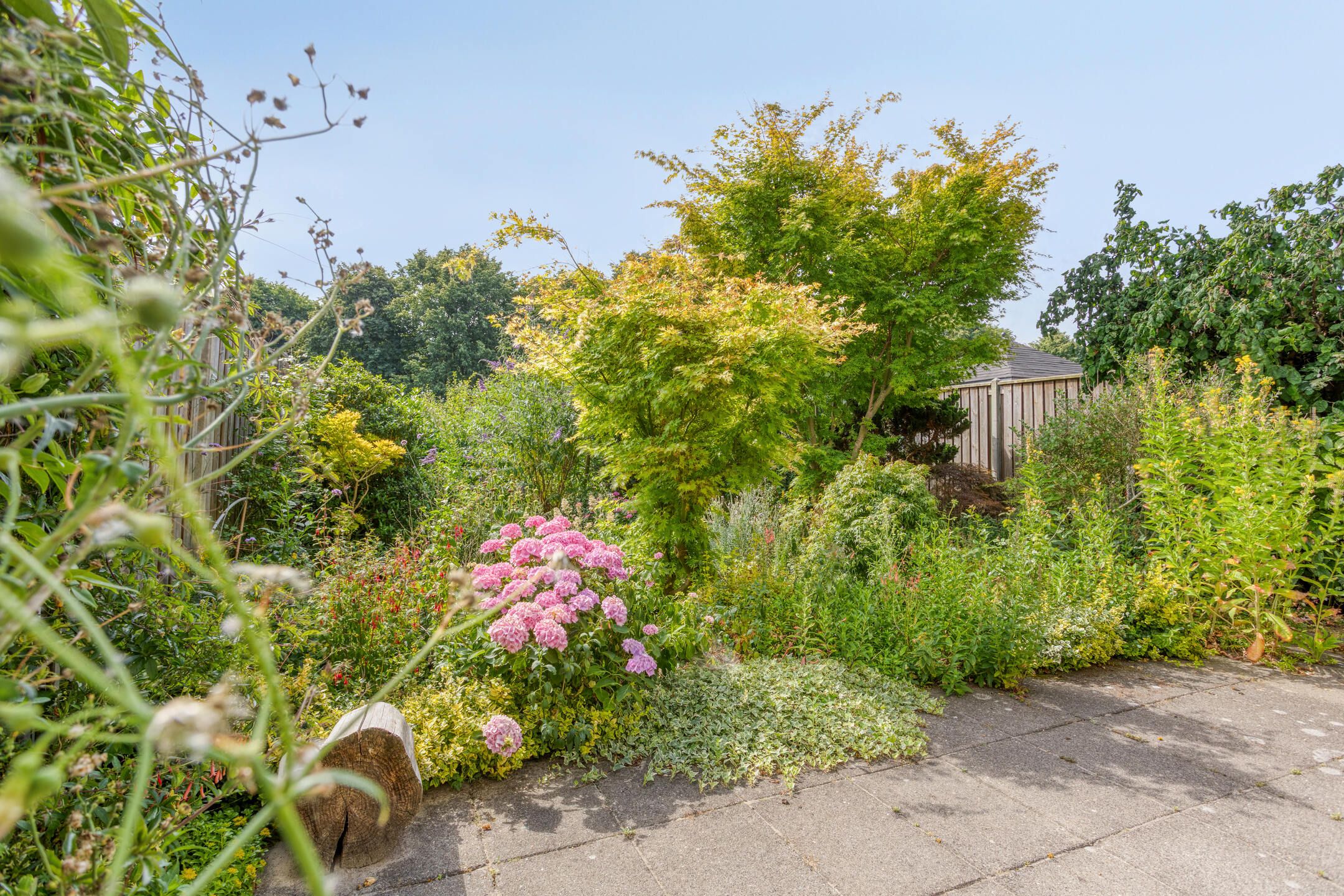 Foto 3 van Krokusstraat 35