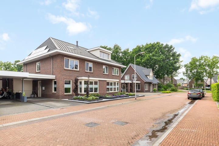 Foto 4 van Veldbies 6