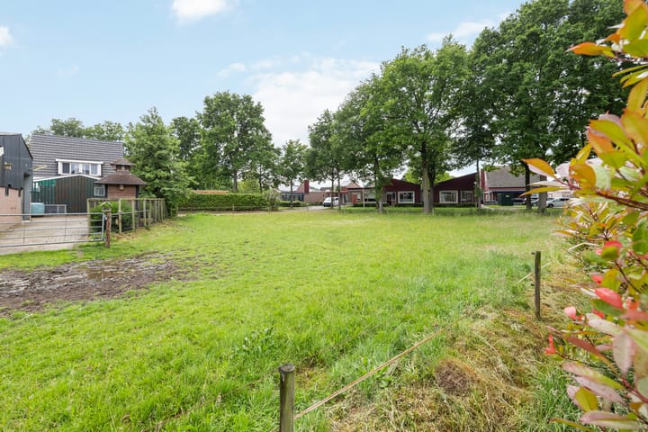 Foto 40 van Veldbies 6