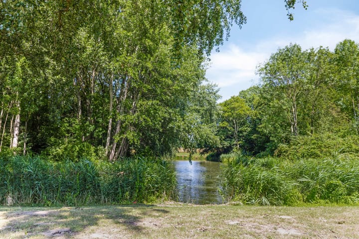 Foto 3 van Leliestraat 76