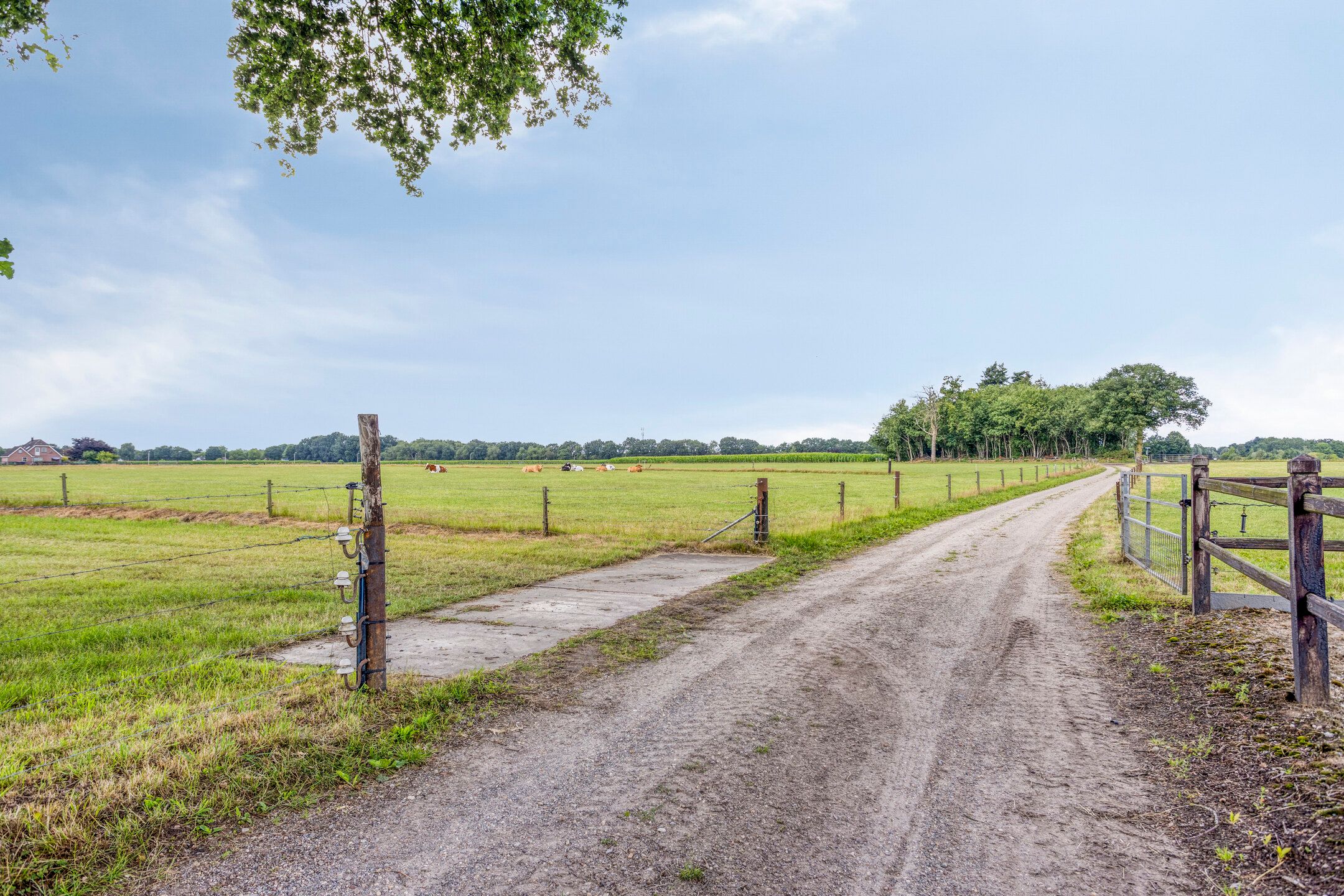 Foto 54 van Korte Spiekerweg 3