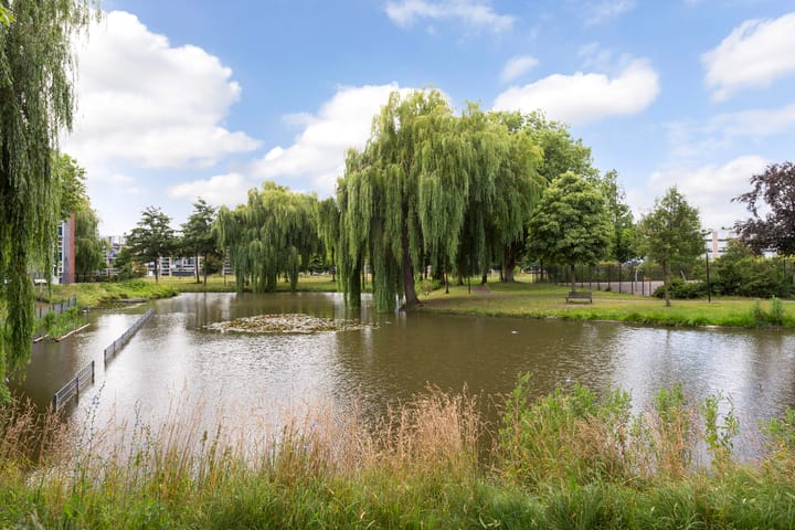 Photo 33 of G.A. Brederolaan 51-C