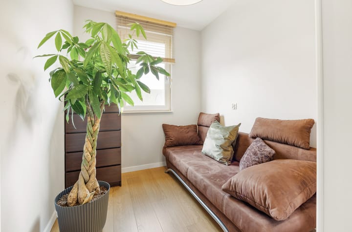 Foto 17 van Schoener 35 40