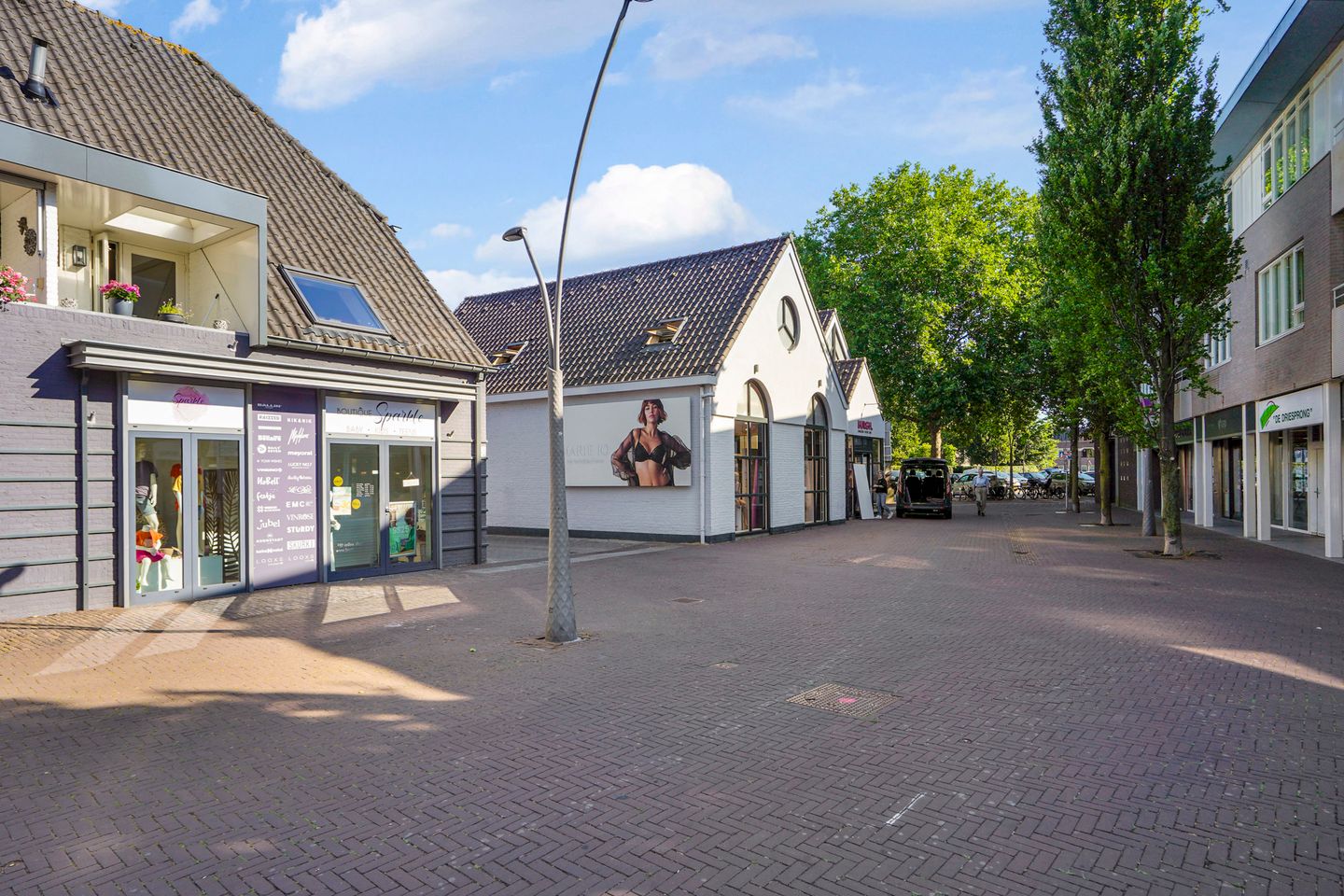 View photo 4 of De Driesprong 26