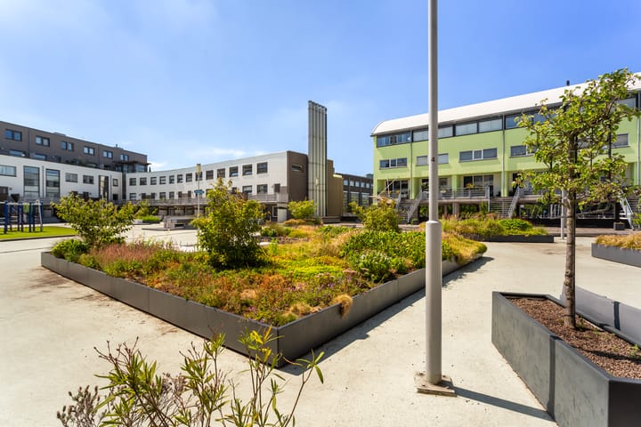 Foto 25 van Rosestraat 185