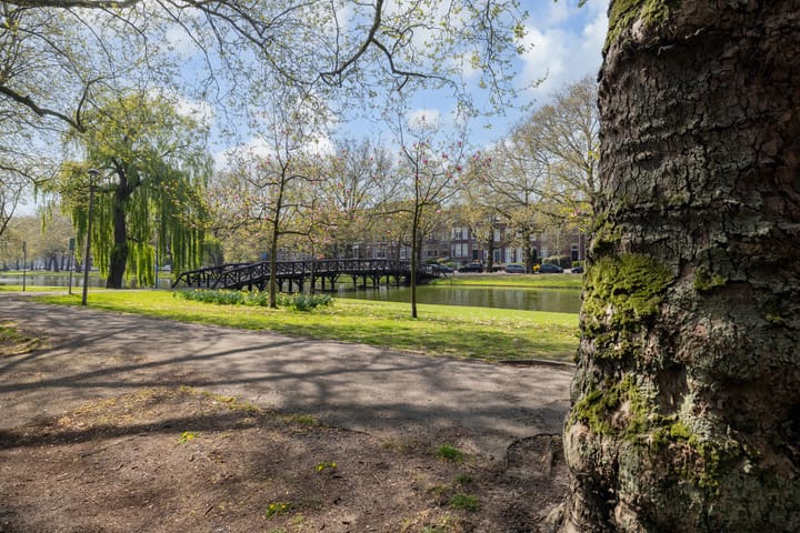 Foto 41 van Heemraadssingel 64