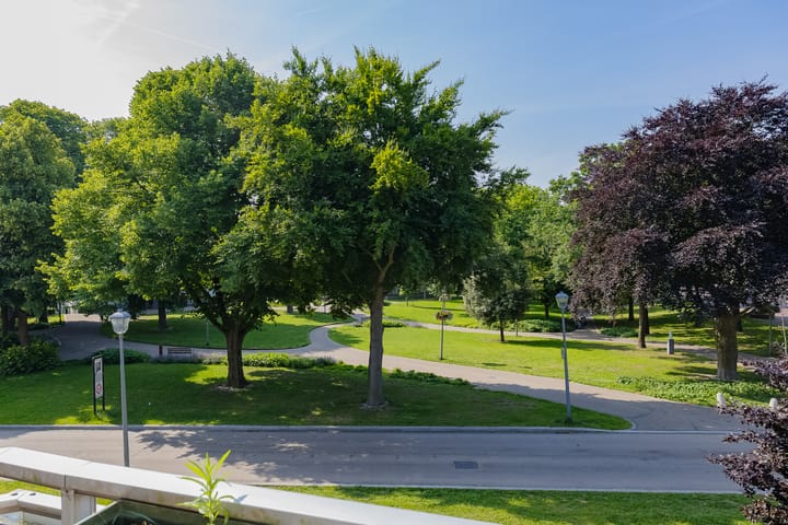 Foto 21 van Houttuin 21