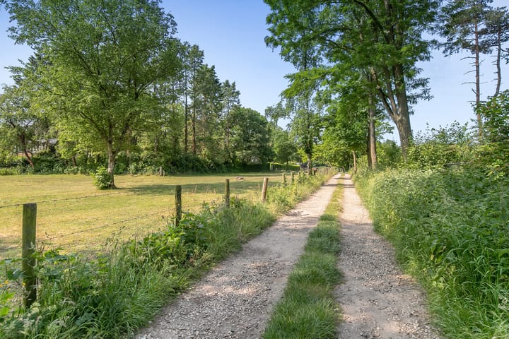 Foto 53 van Insingerstraat 19-C