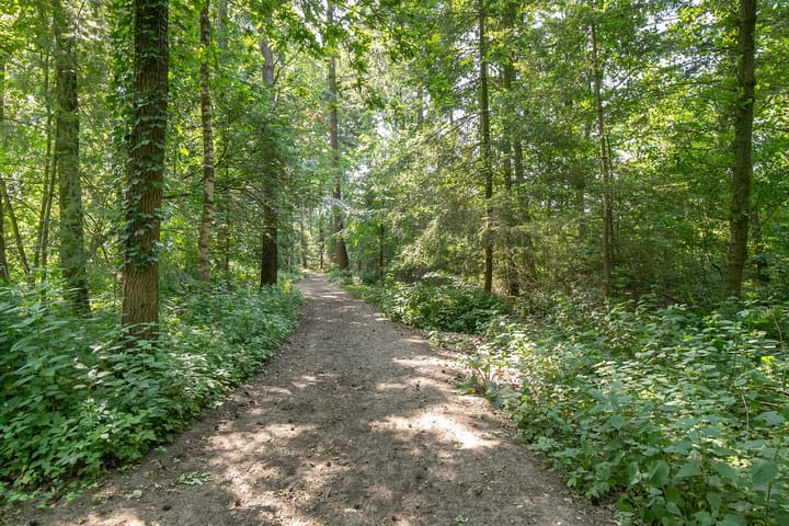 Foto 54 van Insingerstraat 19-C