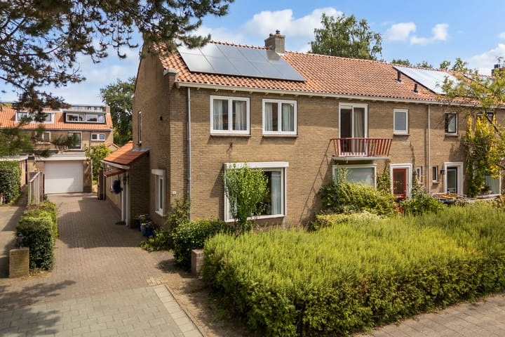 undefined main image