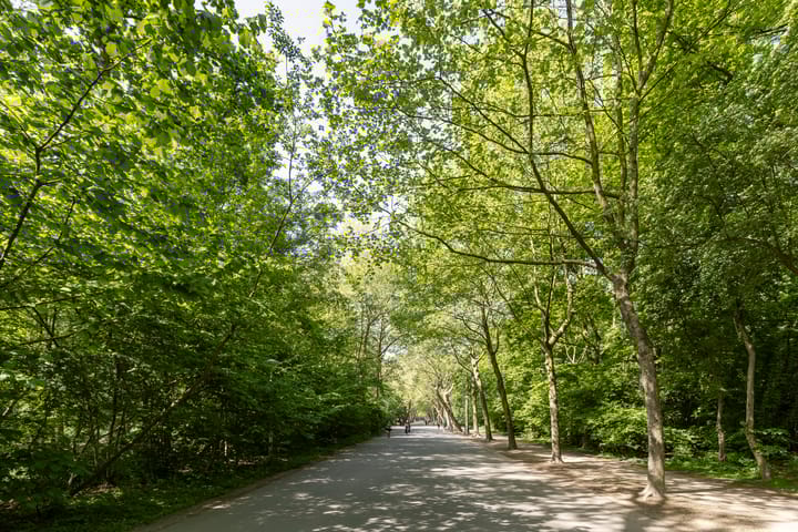 Foto 24 van Frederiksstraat 15-1