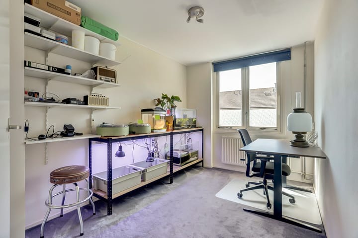 Foto 20 van Dolphijnstraat 43