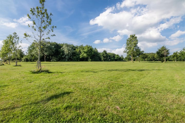 Foto 59 van Zeepkruidstraat 12